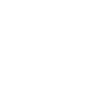 Financial & Insurance